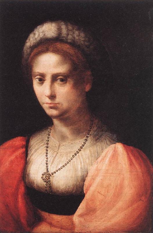 PULIGO, Domenico Portrait of a Lady agf France oil painting art